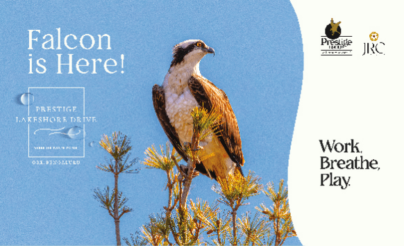 Osprey wildlife photography billboard for Prestige Lakeshore Drive